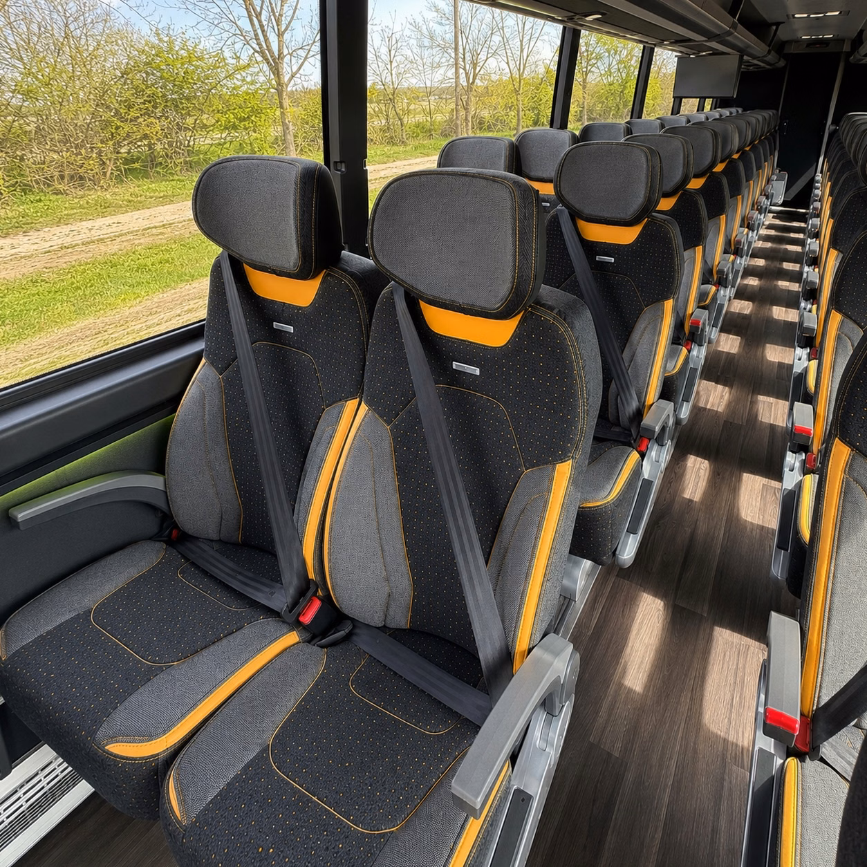 cal state san marcos athletic teams and student groups rely on charter buses for away travel