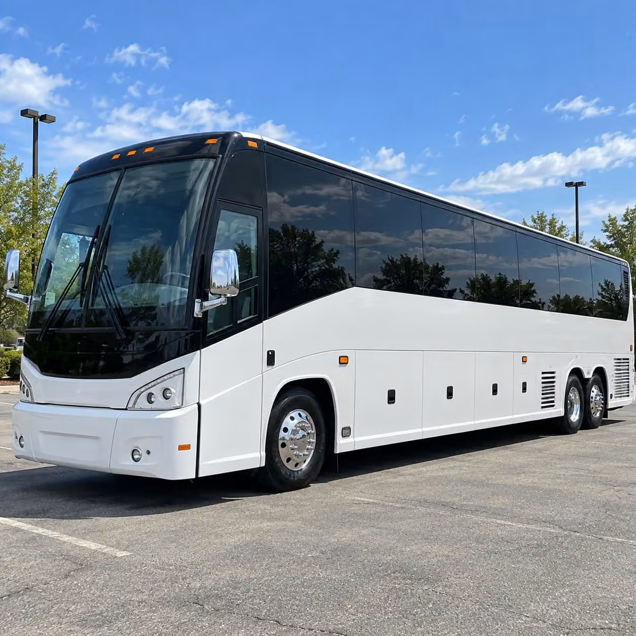 charter bus rentals for san marcos school field trips to the san diego zoo safari park